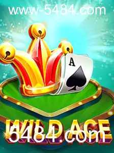 Explorando o Fascinante Mundo de WildAce
